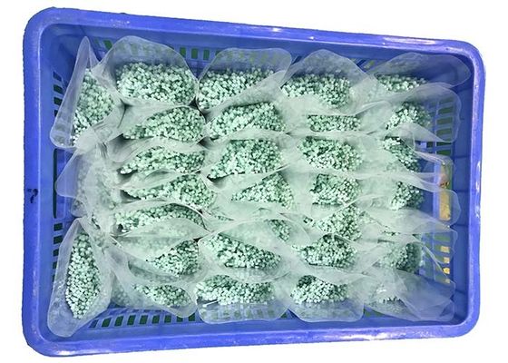 BEREIK Lichte Groene 120 Graad 2.5mm Nylon Kabelbanden