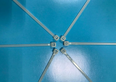 kopen Het hittebestendige Plastic Pit bindt 100mm Lengte PA66 met de Goedkeuring van BEREIKrohs online manufacture
